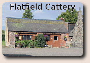 Flatfield Cattery